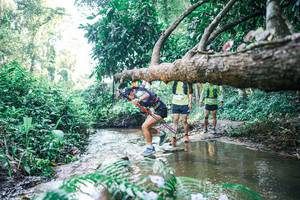 BIB: 
                            <button type="button" onclick="openModal(25441749)" class="btn btn-primary btn-sm float-right btn-popup" data-toggle="modal" data-target=".modal-high-quality">
                        <i class="fas fa-shopping-cart"></i> Add to Cart
                    </button>
                                            <button type="button" onclick="isThisMe(25441749, true)" class="btn btn-success btn-sm float-right btn-popup btn-isme hidden" data-toggle="tooltip" data-placement="bottom" title="นี่คือรูปของคุณใช่ไหม คลิกที่นี่เพื่อเอาเข้าอัลบั้ม">
                        <i class="fas fa-plus"></i> Add to album
                    </button>
                    <button type="button" onclick="isThisMe(25441749, false)" class="btn btn-warning btn-sm float-right btn-popup btn-isnotme hidden">
                        <i class="fas fa-ban"></i> Remove from album
                    </button>